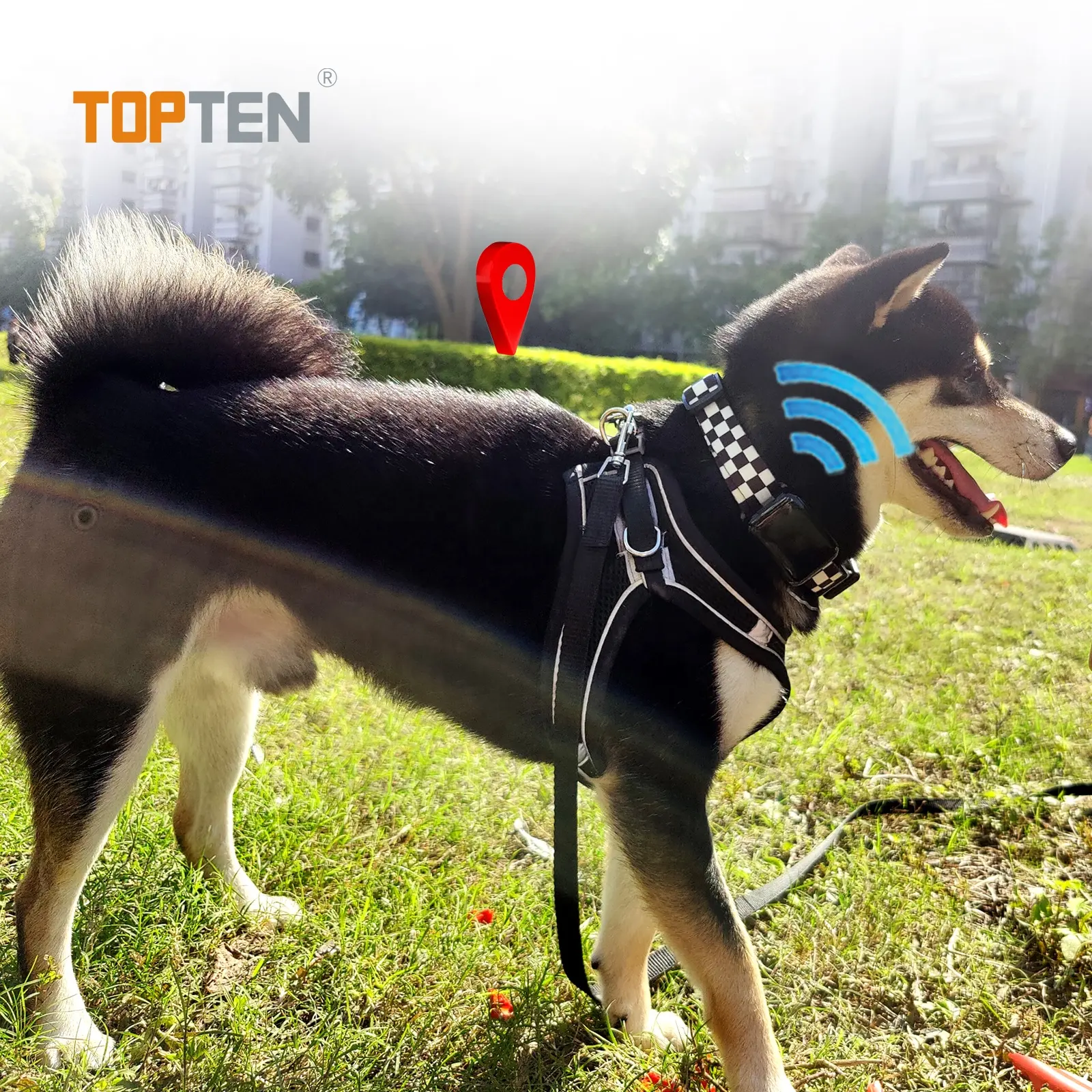 Topten PT07 Pet Smart GPS Tracker Haustier halsband Mini Anti-Lost Wasserdichtes Hunde halsband Locator Tracer Cat
