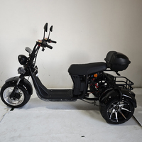 Tricycle électrique à trois roues Loyal, tricycle électrique de transport, tricycle électrique adulte 4000w, trikes scooters citycoco à trois roues