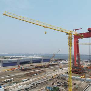 Grue à tour Dahan QTZ315 en vente, longueur du bras de 75 m, capacité de 12 tonnes, modèle 7527 pour les chantiers de construction avec composant moteur principal - Product Image 4