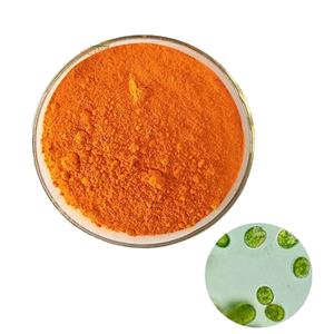 Naturale grado dunaliella fucoxantina estratto in polvere salina prezzo dunaliella salina fucoxantina - Product Image 2