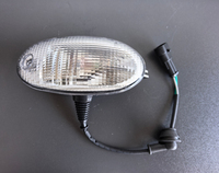Lampe de Position SUNVISOR LIGHT pour pièces de camion IVE-CO nouvel état droit OE 504074031RH