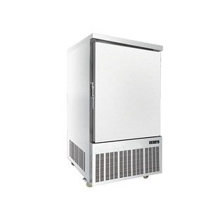 Commercial Reach-In Freezer -40C Manual Defrost R404A Electric For Food Storage - Product Image 1