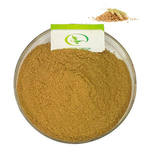 HALAL <strong>Best</strong> Price High Quality <strong>Wheat</strong> <strong>Germ</strong> Extract <strong>Fermented</strong> <strong>Wheat</strong> <strong>Germ</strong> Extract <strong>Fermented</strong> <strong>Wheat</strong> <strong>Germ</strong> Capsules - Product Image 1
