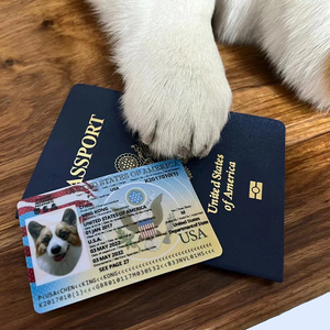 Impression personnalisée de passeports en gros de haute qualité pour les fans, les animaux de compagnie ou les anniversaires - Product Image 4
