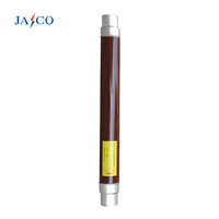 Fusible haute tension JASCO JSDR XRNT-Type 12-36kV HRC haute performance 160A III, testé par pulvérisation de sel pour usage électrique industriel