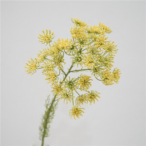 Offre Spéciale de dentelle de fleur de carotte blanche de haute qualité décor artificiel pour mariage maison et fête pour l'obtention du diplôme et noël - Product Image 5