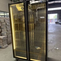Réfrigérateur de présentation pour boissons gazeuses, refroidisseur de bouteilles de vin, ventilateur de refroidissement, vente chaude, congélateur, réfrigérateur