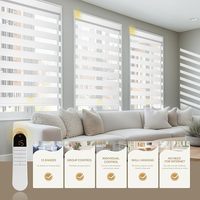 Persianas Enrollables Digitales Eléctricas Personalizadas, Persianas de Doble Tela con Luz Diurna/Nocturna para Uso en Interiores, Sala de Estar, Cocina, Dormitorio