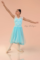 Robe de danse lyrique rose longue brodée en gros Costume de style chinois
