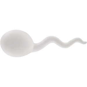 Pelota Antiestrés de Espuma de PU con Logotipo Personalizado, Pelota Antiestrés con Forma de Esperma, Publicidad y Promoción, Juguetes Antiestrés - Product Image 1