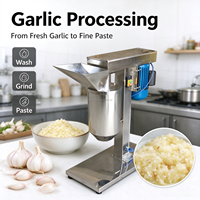 Broyeur Commercial de Gingembre, d'Ail et de Pâte de Piment, Machine à Hacher