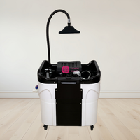 Yicheng En gros Lit de lavage portable chauffant pour spa thaïlandais, avec bassin de shampoing intégré, pour thérapie capillaire en salon