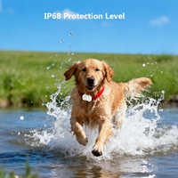 Xexun Novedoso Collar Rastreador GPS Impermeable para Mascotas Perro Gato Dispositivo Antirrobo Localizador Inteligente con Aplicación de Seguimiento Gratuita