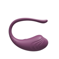 Sexspielzeug für Frauen App Fernbedienung Vibrator Jumping Egg mit 9 Vibrations modi