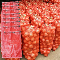 Bolsa de malla de plástico PP roja de 5 kg, 10 kg, 20 kg, 30 kg con cordón para empacar patatas, cebollas, leña, verduras, frutas y ajo