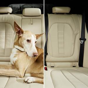 Zirbe Scented <b>Car</b> Air <b>Freshener</b> 1 Piece Natural And Woody Aroma For A Relaxing <b>Car</b> Atmosphere - Product Image 4