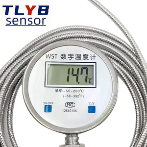 Digital <strong>Thermometer</strong> with Probe WST/DTM-491 High Precision Electronic Industry Waterproof Digital Water <strong>Thermometer</strong> - Product Image 1