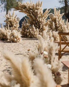 Handmade Natural Pampas <strong>Flower</strong> Ball Popular Wedding Centerpiece <strong>Table</strong> Decoration Light Brown <strong>Flower</strong> Ball Floral <strong>Arrangement</strong> - Product Image 2
