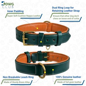 Collares de Perro de Cuero Genuino Hechos a Mano de Lujo, Resistentes, Ajustables y Acolchados con Color Personalizado para Perros y Gatos - Product Image 3