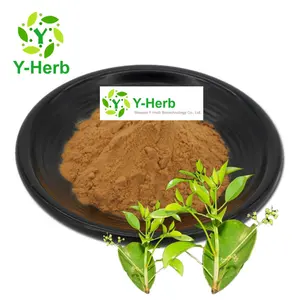 Cinnamomum Parthenoxylon/Sassafras Leaf Root Bark Extract Powder 10:1バルクSassafras Root Bark/Sassafras Leaf Extract