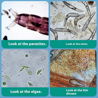 Microscope biologique avancé d'étudiant avec la focalisation fine pour l'analyse précise de lame et de spécimen