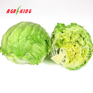 Green Fresh Whole Iceberg <strong>Lettuce</strong> 6 Months Shelf Life HACCP Certified - Product Image 2
