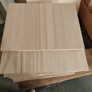 Planches de Taekwondo pour la pratique du sport et l'entraînement, adaptées à tous les âges. - Product Image 3