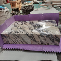 SH STONE Table Basse Socle Nordique Moderne Forme Rectangulaire Marbre Calacatta Violet Viola de Luxe pour Salon Décoration Intérieure