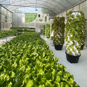 Sistemas de Hidroponía Industrial con Torre Aeropónica para Agricultura a Gran Escala, Rendimiento Constante y Fácil Mantenimiento - Product Image 1