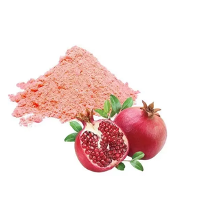 Polvo de Granada Premium Punica Granatum Liofilizado, Ingrediente de Fruta Natural, Materia Prima, Suministro a Granel, Tambor de 10 kg, 12 Meses - Product Image 4