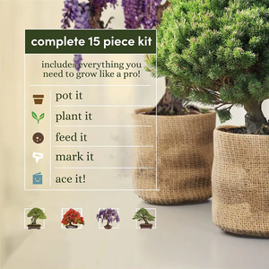 Jardinière <span class=keywords><strong>balcon</strong></span> salon vert pot de plantation chinois Zen bonsaï décoration pot de fleurs créatif - Product Image 4