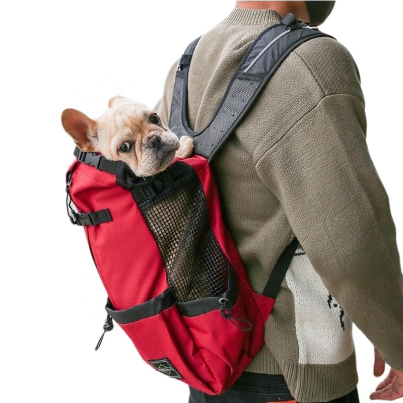 front facing backpack