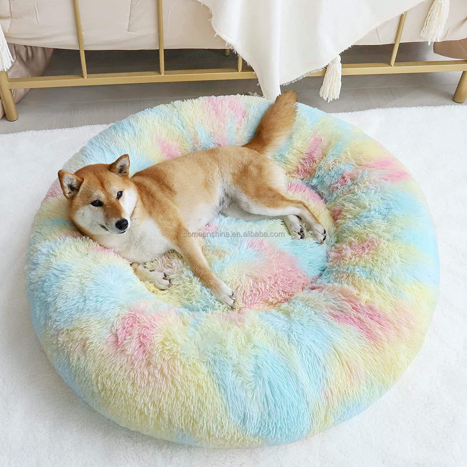 สายรุ้งสีขาว