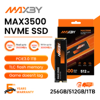 MAXBY M1 512GB PCIe 3.0 X4 NVMe SSD 550TB TBW 3500MB/s Kecepatan Baca untuk Peningkatan Penyimpanan PC Gaming