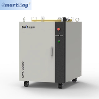 SmartRay BWT 1500W 2000W 3000W 4000W Source d'alimentation laser à fibre CNC Machine pour la construction métal CW Mode de puissance de sortie