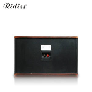 Haut-parleur professionnel TDK-510 simple 10 pouces pour salle privée KTV, karaoké domestique, multifonctionnel pour salle de réunion, danse, audio 200W - Product Image 5