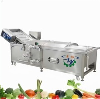 Fruit- en zeewierfrietjes, diepvriesgroenten en fruit was- en continu blancheringsmachine voor groenten