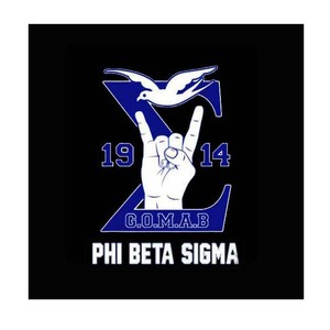 Prêt à expédier – Écussons thermocollants personnalisés pour fraternités grecques Phi Beta Sigma <span class=keywords><strong>1914</strong></span> – Transfert vinyle sérigraphié pour t-shirt - Product Image 3