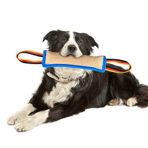 KANGDAER XD141 Bastone da Mordere in Canapa Fine per Addestramento Cani, per la Pulizia dei Denti e Gioco Interattivo - Giocattolo da Mordere per Animali Domestici - Product Image 2