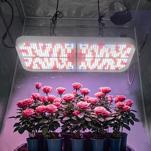 Sistema de Cultivo LED de Espectro Completo Regulable de 800W para Producción de Rosas y Cultivo Hidropónico - Product Image 1