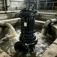 Tauchfähige Abwasserpumpe Hochdruck-Wasserpumpe Kreiselpumpe Landwirtschaftliche Bewässerungspumpe Vakuumpumpe 5PS