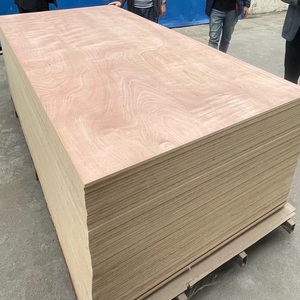 Eco-friendly Furniture Grade Ready-For-Painting Okoume Veneer Poplar Core Plywood for Wardrobe Closet Armoire <strong>Kas</strong> Making - Product Image 5