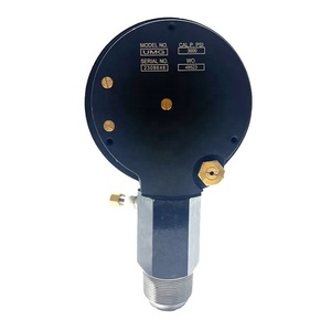 bibo Standard UMG Unitized <b>Gauge</b> for Oilfield Drilling Manifold Pressure&Tong Torque <b>Gauge</b> - Product Image 2