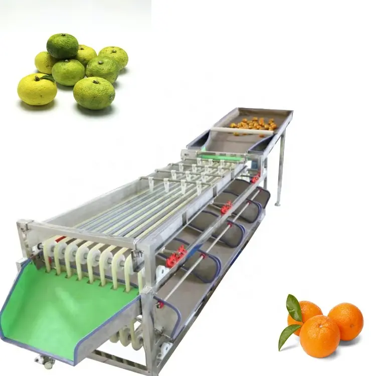 Good quality FRUIT&VEGETABLE PROCESSING SORTING WASHING MACHINE potato washing and grading sorting machine