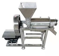 Commerciële Koude Pers Fruit En Groente Juicer Machine Restaurant Gebruikt Met Efficiënte Motor Kerncomponent