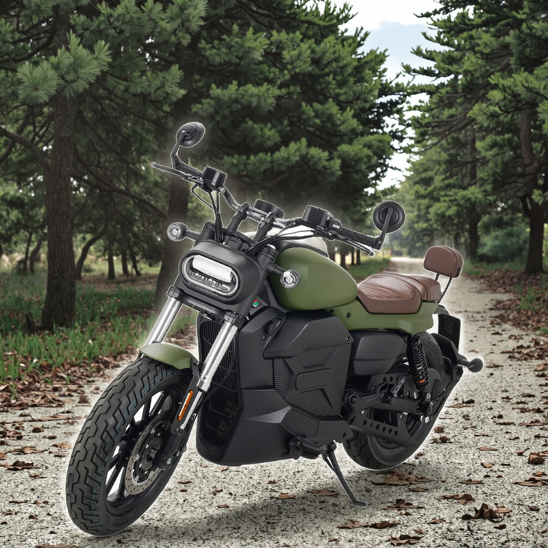 Powerful 72V117Ah Electric Motor Bike Motorcycle
