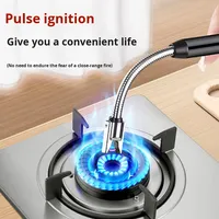 Allumeur de cuisine USB rechargeable du fabricant en gros Briquet d'interface Tpe-C Coupe-vent Arc Pulse Ignition Metal Material