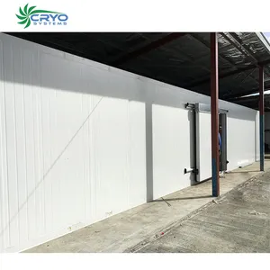 cow dairy milk big plant warehouse cold storage system commercial cold room 100ton potato cold storage