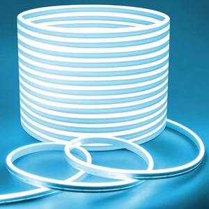 Tira de Luz LED de Neón Flexible de Silicona RGB de 220 V, IP65, Impermeable, Iluminación para Paisajes - Product Image 6