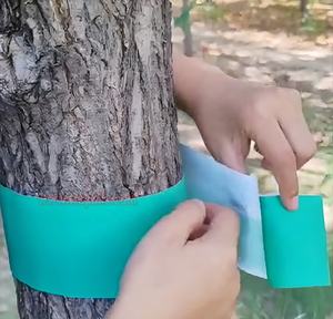 2 pièges à colle anti-caterpillars écologiques et solides pour la protection des arbres de jardin toute l'année, pour le contrôle des insectes - Product Image 6